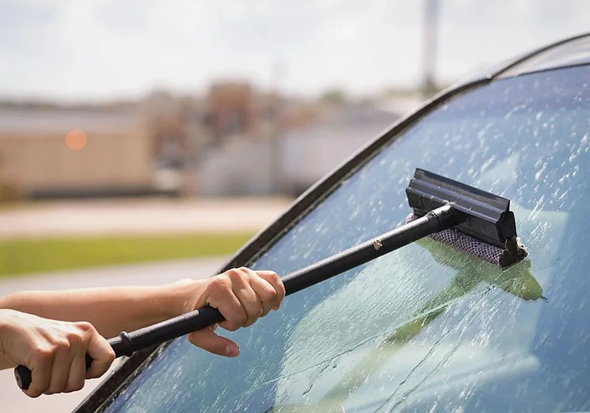 Los mejores quitamosquitos para el coche: Guía 2026